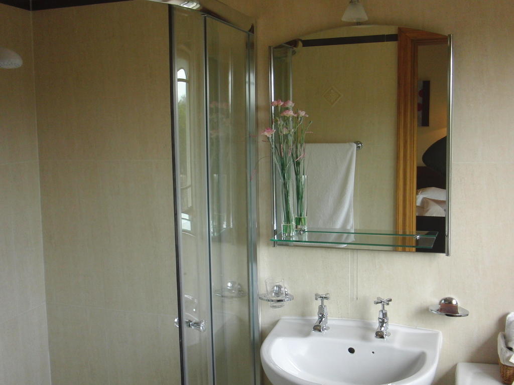 Bed and Breakfast Woodlands House Фарранфор Номер фото